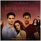 Photo 5 du film Twilight - Chapitre 4 Revelation 1ere partie
