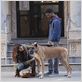 How to make it in America : photo Lake Bell, Scott Mescudi