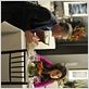Facing Kate : photo Baron Vaughn, Ryan Johnson, Sarah Shahi