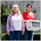 Vive la colo ! : photo Charlotte De Turckheim, Virginie Hocq