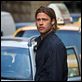 World War Z TRUEFRENCH BDRip World War Z TRUEFRENCH BDRip