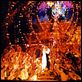 Moulin Rouge ! : photo Baz Luhrmann