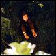 Le Petit Poucet : photo Nils Hugon, Olivier Dahan