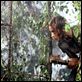 Haute tension : photo Alexandre Aja, Cécile de France