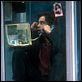 Phone Game : photo Colin Farrell