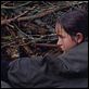 Le Temps du loup : photo Michael Haneke