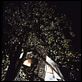  [DVDRiP] Amityville, la maison du diable [ReUp 04/04/2010]