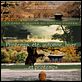 Affiche - FILM - Printemps, été, automne, hiver et printemps : 53773
