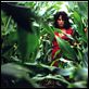 Marie et le loup : photo Zaïda Ghorab-Volta