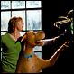 Scooby-Doo 2 : les monstres se déchaînent : photo Matthew Lillard