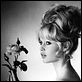 photo Brigitte Bardot