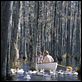 N'oublie jamais [DVDRIP]