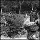 La Forteresse cachée : photo Akira Kurosawa