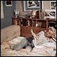 photo Marilyn Monroe