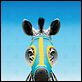 Zig-Zag [DVDRiP]