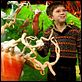 Charlie et la chocolaterie : photo Freddie Highmore, Tim Burton