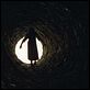 Le Cercle - The Ring 2 : photo Hideo Nakata
