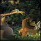Madagascar : photo Eric Darnell