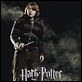 Affiche (autres) - FILM - Harry Potter et la Coupe de Feu : 53756