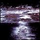 Rivers and Tides : photo Thomas Riedelsheimer