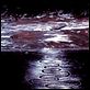 Rivers and Tides : photo Thomas Riedelsheimer