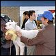 Bombon el perro : photo Carlos Sorín, Juan Villegas, Walter Donado