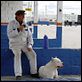 Bombon el perro : photo Carlos Sorín, Juan Villegas