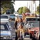 Les Seigneurs de Dogtown : photo Catherine Hardwicke, Emile Hirsch, John Robinson, Victor Rasuk
