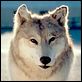 Wolf Lake