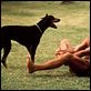 Magnum : photo Tom Selleck