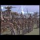 Star Wars : Episode I - La Menace fantôme : photo George Lucas