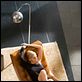 Basic instinct 2 : photo Michael Caton-Jones, Sharon Stone