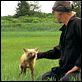 Grizzly Man : photo Werner Herzog