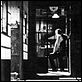 Le Goût du saké : photo Yasujiro Ozu