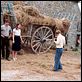 Le Passager de l'été : photo Catherine Frot, Florence Moncorgé-Gabin, Gregori Derangère, Laura Smet