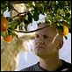 Adam's apples : photo Anders Thomas Jensen, Ulrich Thomsen