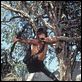 Rambo II : la mission : photo George Pan Cosmatos, Sylvester Stallone