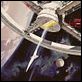 2001 : l'odyssée de l'espace : photo Robert Beatty, Stanley Kubrick