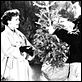 Tout ce que le ciel permet : photo Douglas Sirk, Jane Wyman, Rock Hudson