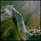 Eragon : photo Ed Speleers, Stefen Fangmeier