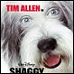 Raymond : affiche Brian Robbins, Tim Allen