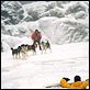 Antartica, prisonniers du froid : photo Bruce Greenwood, Frank Marshall, Paul Walker