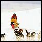 Antartica, prisonniers du froid : photo Bruce Greenwood, Frank Marshall, Paul Walker