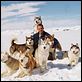 Antartica, prisonniers du froid : photo Frank Marshall, Paul Walker
