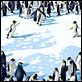 Happy Feet : photo George Miller