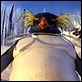 Happy Feet : photo George Miller