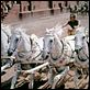 [MULTI] Ben-Hur [Blu-Ray 720p]