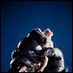 King Kong : photo Charles Grodin, Jeff Bridges, Jessica Lange, John Guillermin