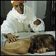 Angélique et le sultan : photo Bernard Borderie, Jean-Claude Pascal, Michèle Mercier