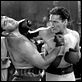 Gentleman Jim : photo Errol Flynn, Raoul Walsh
